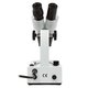 Microscopio Estéreo XTX-PW6C-W (10x; 2x/4x) Vista previa  5